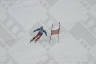 Click for larger image.